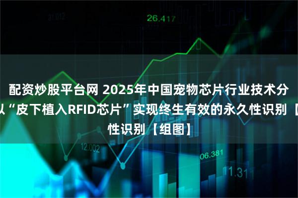 配资炒股平台网 2025年中国宠物芯片行业技术分析：以“皮下植入RFID芯片”实现终生有效的永久性识别【组图】